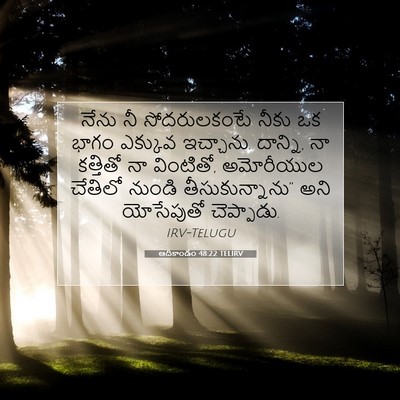 Picture 07 - ఆదికాండం 48:22 TELIRV - నేను నీ - Bible Verse Picture