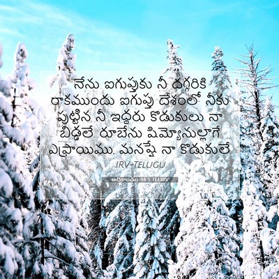 Picture 07 - ఆదికాండం 48:5 TELIRV - నేను ఐగుప్తుకు నీ - Bible Verse Picture