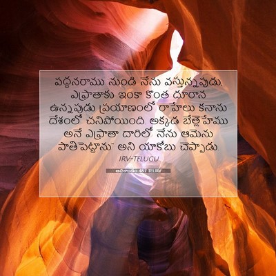 Picture 07 - ఆదికాండం 48:7 TELIRV - పద్దనరాము నుండి - Bible Verse Picture