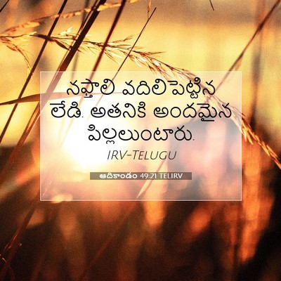 Picture 07 - ఆదికాండం 49:21 TELIRV - నఫ్తాలి - Bible Verse Picture