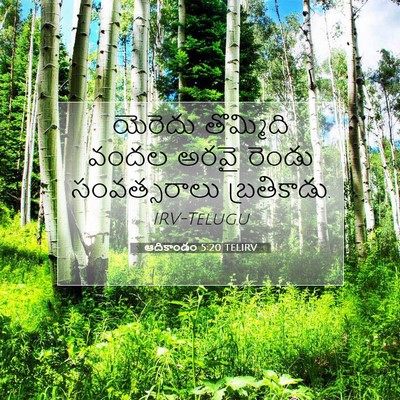 Picture 07 - ఆదికాండం 5:20 TELIRV - యెరెదు తొమ్మిది - Bible Verse Picture