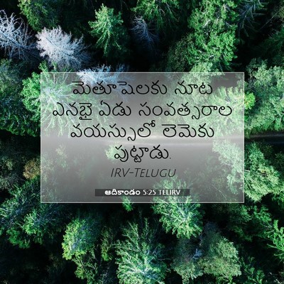 Picture 07 - ఆదికాండం 5:25 TELIRV - మెతూషెలకు నూట - Bible Verse Picture