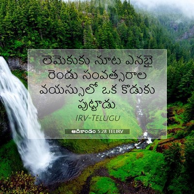 Picture 07 - ఆదికాండం 5:28 TELIRV - లెమెకుకు నూట ఎనభై - Bible Verse Picture