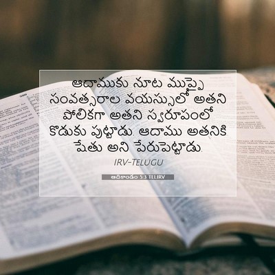 Picture 07 - ఆదికాండం 5:3 TELIRV - ఆదాముకు నూట - Bible Verse Picture