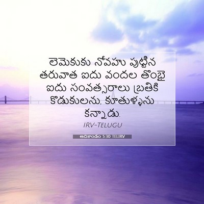 Picture 07 - ఆదికాండం 5:30 TELIRV - లెమెకుకు నోవహు - Bible Verse Picture