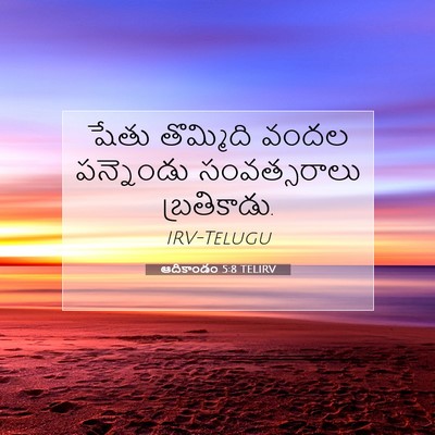 Picture 07 - ఆదికాండం 5:8 TELIRV - షేతు తొమ్మిది - Bible Verse Picture