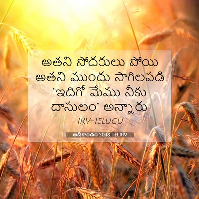 Picture 07 - ఆదికాండం 50:18 TELIRV - అతని సోదరులు పోయి - Bible Verse Picture