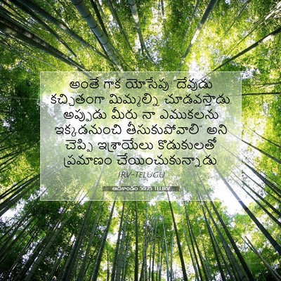 Picture 07 - ఆదికాండం 50:25 TELIRV - అంతే గాక యోసేపు - Bible Verse Picture