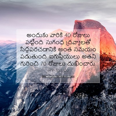 Picture 07 - ఆదికాండం 50:3 TELIRV - అందుకు వారికి 40 - Bible Verse Picture