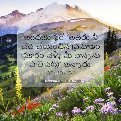 Picture 07 - ఆదికాండం 50:6 TELIRV - అందుకు ఫరో “అతడు - Bible Verse Picture