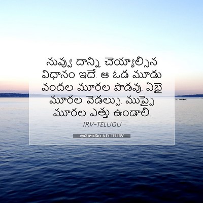 Picture 07 - ఆదికాండం 6:15 TELIRV - నువ్వు దాన్ని - Bible Verse Picture