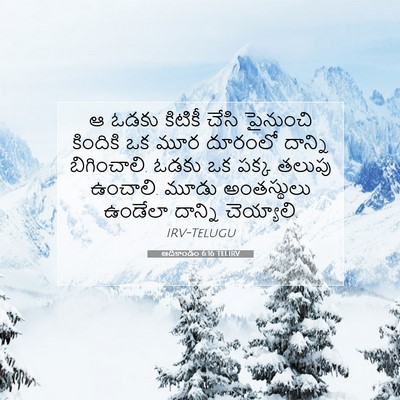 Picture 07 - ఆదికాండం 6:16 TELIRV - ఆ ఓడకు కిటికీ చేసి - Bible Verse Picture