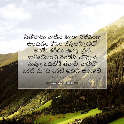 Picture 07 - ఆదికాండం 6:19 TELIRV - నీతోపాటు వాటిని - Bible Verse Picture