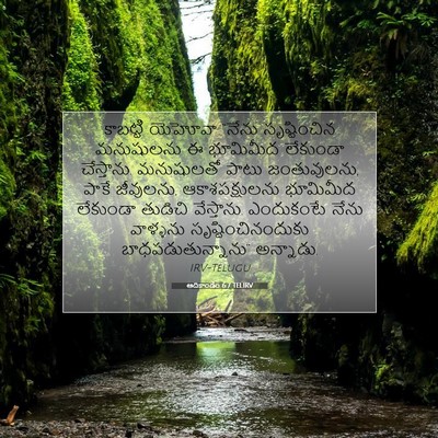 Picture 07 - ఆదికాండం 6:7 TELIRV - కాబట్టి యెహోవా - Bible Verse Picture