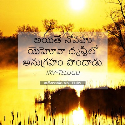 Picture 07 - ఆదికాండం 6:8 TELIRV - అయితే నోవహు - Bible Verse Picture