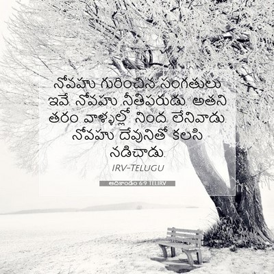 Picture 07 - ఆదికాండం 6:9 TELIRV - నోవహు గురించిన - Bible Verse Picture