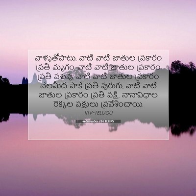 Picture 07 - ఆదికాండం 7:14 TELIRV - వాళ్ళతోపాటు, వాటి - Bible Verse Picture