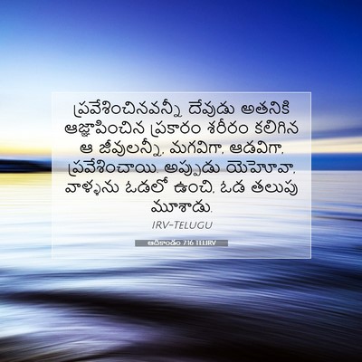 Picture 07 - ఆదికాండం 7:16 TELIRV - ప్రవేశించినవన్నీ - Bible Verse Picture