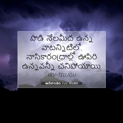 Picture 07 - ఆదికాండం 7:22 TELIRV - పొడి నేలమీద ఉన్న - Bible Verse Picture
