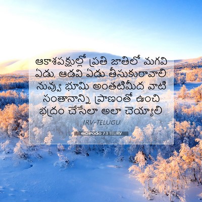 Picture 07 - ఆదికాండం 7:3 TELIRV - ఆకాశపక్షుల్లో - Bible Verse Picture