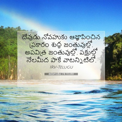 Picture 07 - ఆదికాండం 7:8 TELIRV - దేవుడు నోవహుకు - Bible Verse Picture