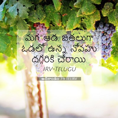 Picture 07 - ఆదికాండం 7:9 TELIRV - మగ, ఆడ, జతలుగా ఓడలో - Bible Verse Picture