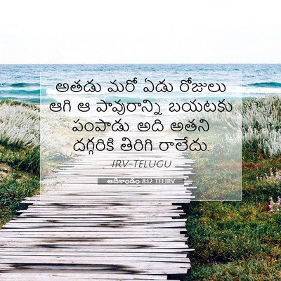 Picture 07 - ఆదికాండం 8:12 TELIRV - అతడు మరో ఏడు - Bible Verse Picture