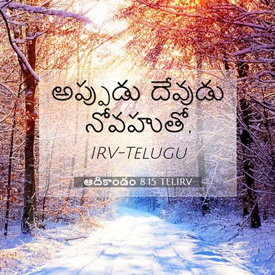 Picture 07 - ఆదికాండం 8:15 TELIRV - అప్పుడు దేవుడు - Bible Verse Picture