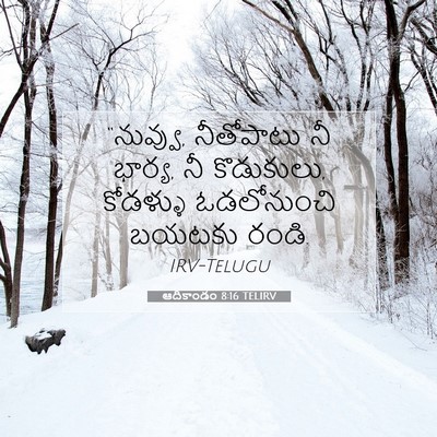 Picture 07 - ఆదికాండం 8:16 TELIRV - “నువ్వు, నీతోపాటు - Bible Verse Picture