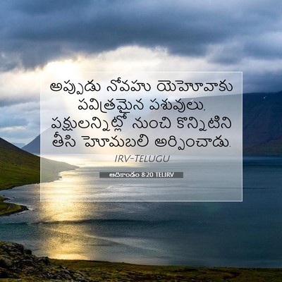 Picture 07 - ఆదికాండం 8:20 TELIRV - అప్పుడు నోవహు - Bible Verse Picture