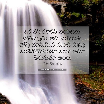 Picture 07 - ఆదికాండం 8:7 TELIRV - ఒక బొంతకాకిని - Bible Verse Picture