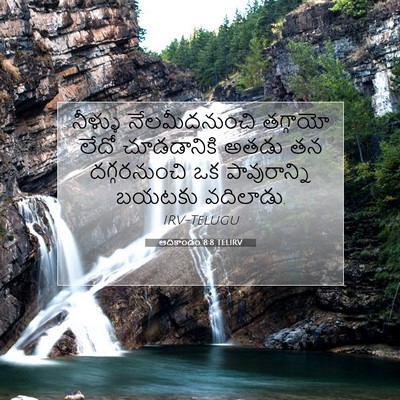 Picture 07 - ఆదికాండం 8:8 TELIRV - నీళ్ళు - Bible Verse Picture