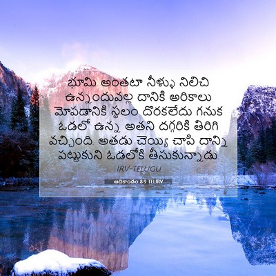 Picture 07 - ఆదికాండం 8:9 TELIRV - భూమి అంతటా నీళ్ళు - Bible Verse Picture
