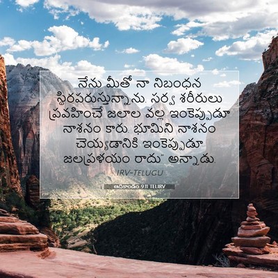 Picture 07 - ఆదికాండం 9:11 TELIRV - నేను మీతో నా - Bible Verse Picture