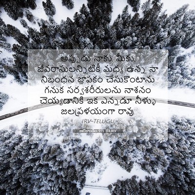 Picture 07 - ఆదికాండం 9:15 TELIRV - అప్పుడు నాకు, మీకు, - Bible Verse Picture