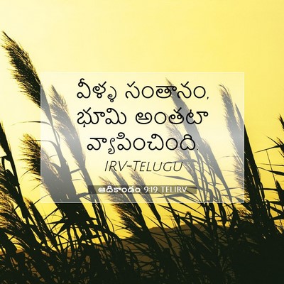 Picture 07 - ఆదికాండం 9:19 TELIRV - వీళ్ళ సంతానం, భూమి - Bible Verse Picture