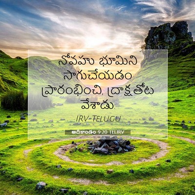 Picture 07 - ఆదికాండం 9:20 TELIRV - నోవహు భూమిని - Bible Verse Picture