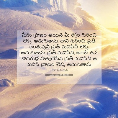 Picture 07 - ఆదికాండం 9:5 TELIRV - మీకు ప్రాణం అయిన - Bible Verse Picture