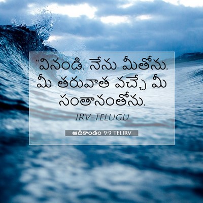 Picture 07 - ఆదికాండం 9:9 TELIRV - “వినండి, నేను - Bible Verse Picture