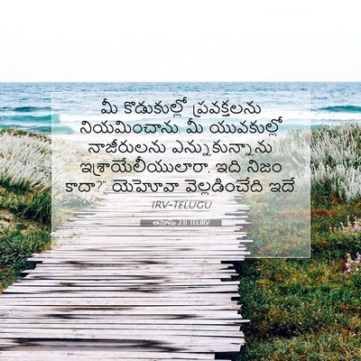 Picture 07 - ఆమోసు 2:11 TELIRV - మీ కొడుకుల్లో - Bible Verse Picture