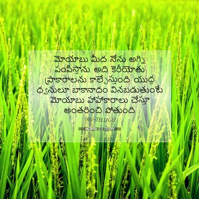 Picture 07 - ఆమోసు 2:2 TELIRV - మోయాబు మీద నేను - Bible Verse Picture