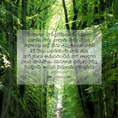 Picture 07 - ఆమోసు 2:4 TELIRV - యెహోవా - Bible Verse Picture