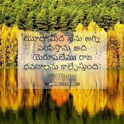 Picture 07 - ఆమోసు 2:5 TELIRV - యూదా మీద నేను - Bible Verse Picture