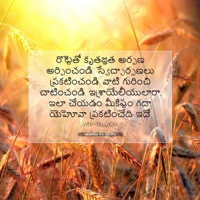 Picture 07 - ఆమోసు 4:5 TELIRV - రొట్టెతో కృతజ్ఞత - Bible Verse Picture