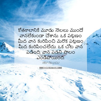 Picture 07 - ఆమోసు 4:7 TELIRV - కోతకాలానికి మూడు - Bible Verse Picture