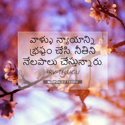 Picture 07 - ఆమోసు 5:7 TELIRV - వాళ్ళు న్యాయాన్ని - Bible Verse Picture