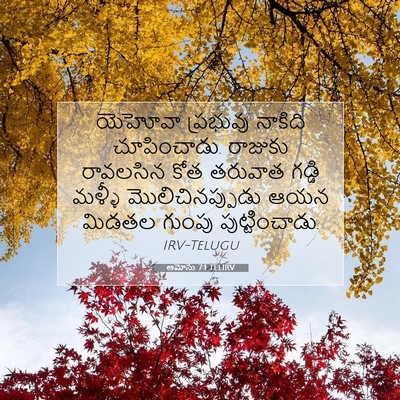 Picture 07 - ఆమోసు 7:1 TELIRV - యెహోవా ప్రభువు - Bible Verse Picture