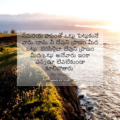 Picture 07 - ఆమోసు 8:14 TELIRV - సమరయ పాపంతో ఒట్టు - Bible Verse Picture