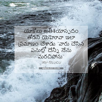 Picture 07 - ఆమోసు 8:7 TELIRV - యాకోబు - Bible Verse Picture