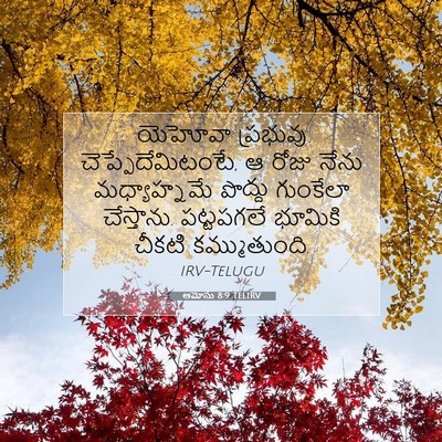 Picture 07 - ఆమోసు 8:9 TELIRV - యెహోవా ప్రభువు - Bible Verse Picture